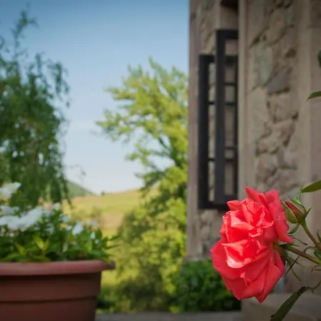 El Molino De Cicera Guest House Exterior photo