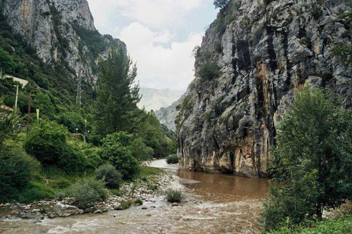 El Molino De * Cicera