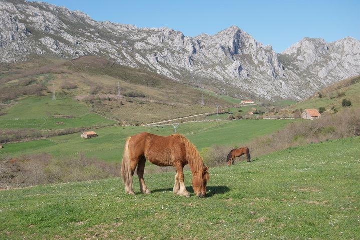 El Molino De Country house Cicera