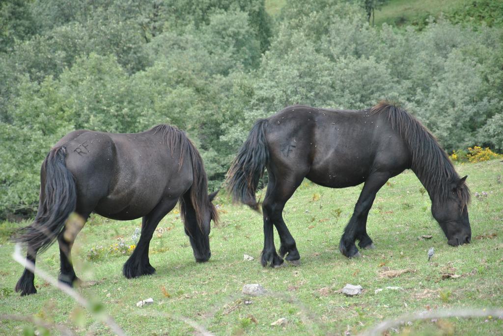 El Molino De Casa rural *